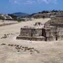 MEX OAX MonteAlban 2019APR04 053 : - DATE, - PLACES, - TRIPS, 10's, 2019, 2019 - Taco's & Toucan's, Americas, April, Day, Mexico, Monte Albán, Month, North America, Oaxaca, South Pacific Coast, Thursday, Year, Zona Arqueológica